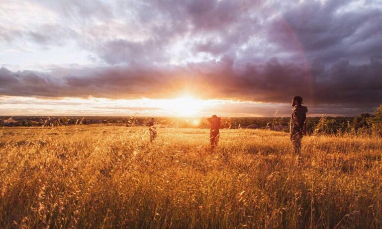 players hstatsarcade