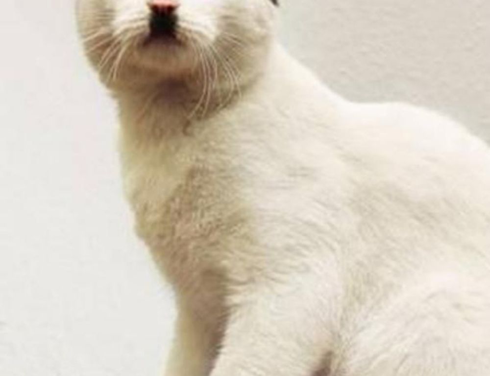 poker strategies bfncplayer