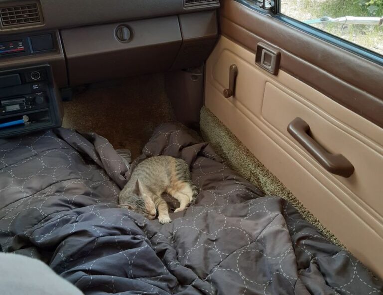 registration guide tportvent