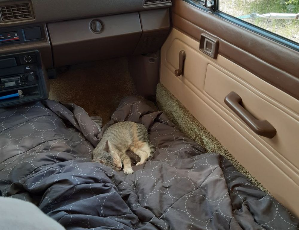 registration guide tportvent