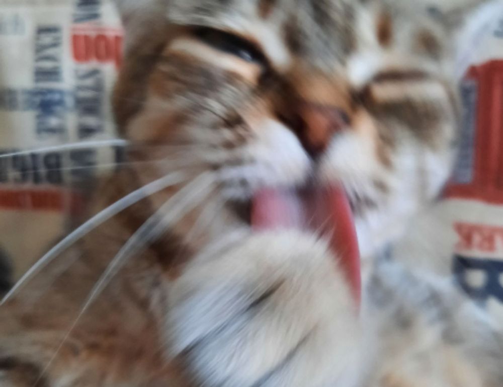 registration tutorial tportvent