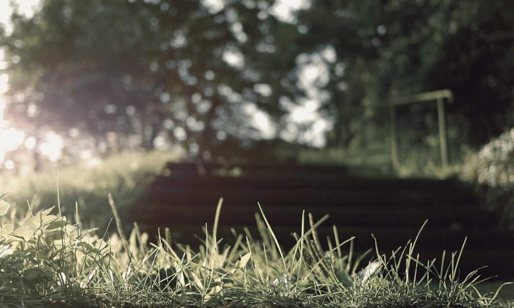 release date etsjavaapp