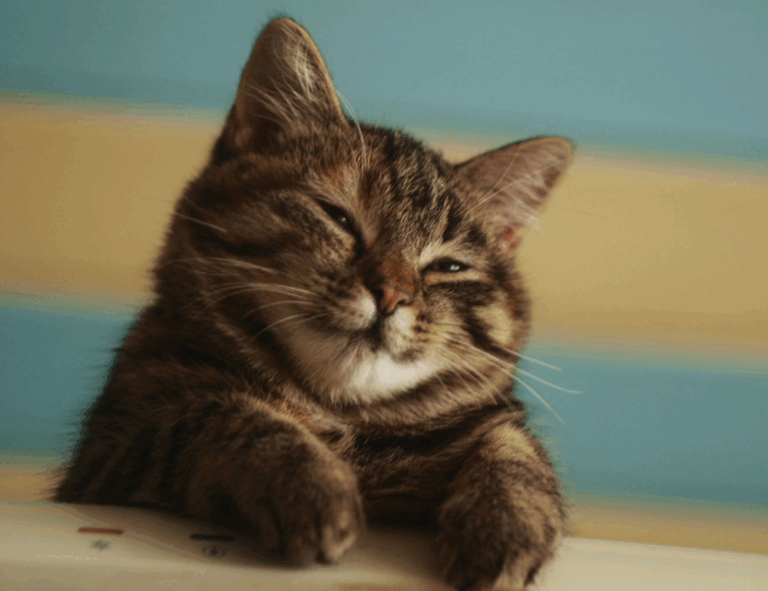 tgagamestick settings