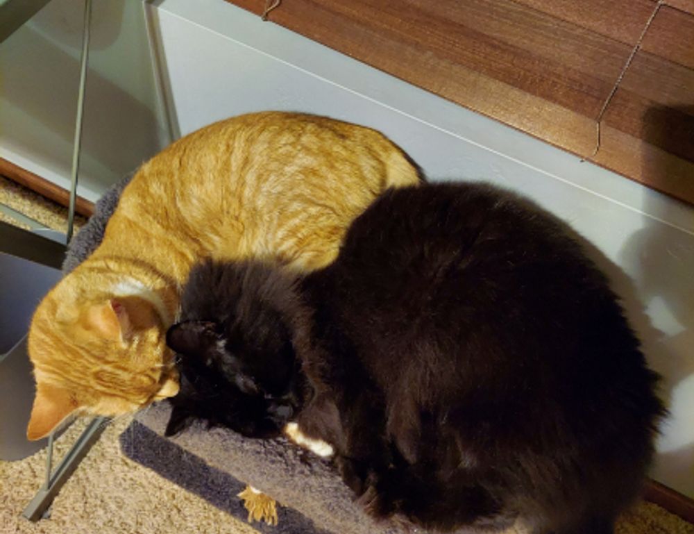 tgageeks gaming news from thegamearchives