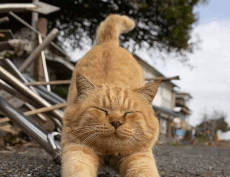 tgageeks gaming update