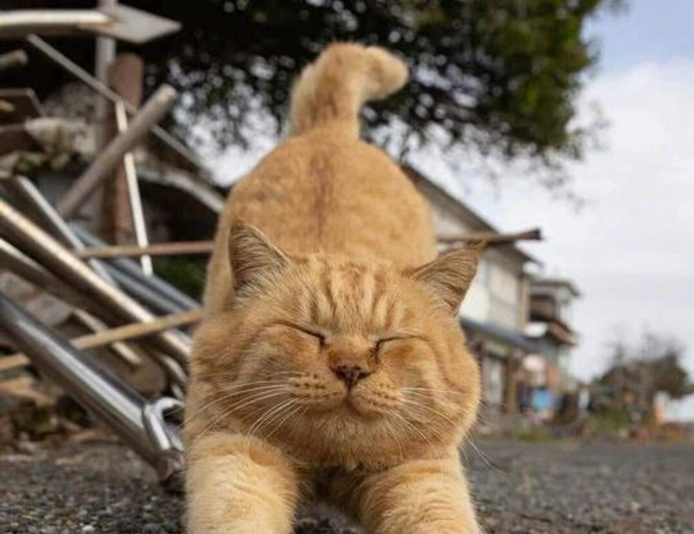 tgageeks gaming update