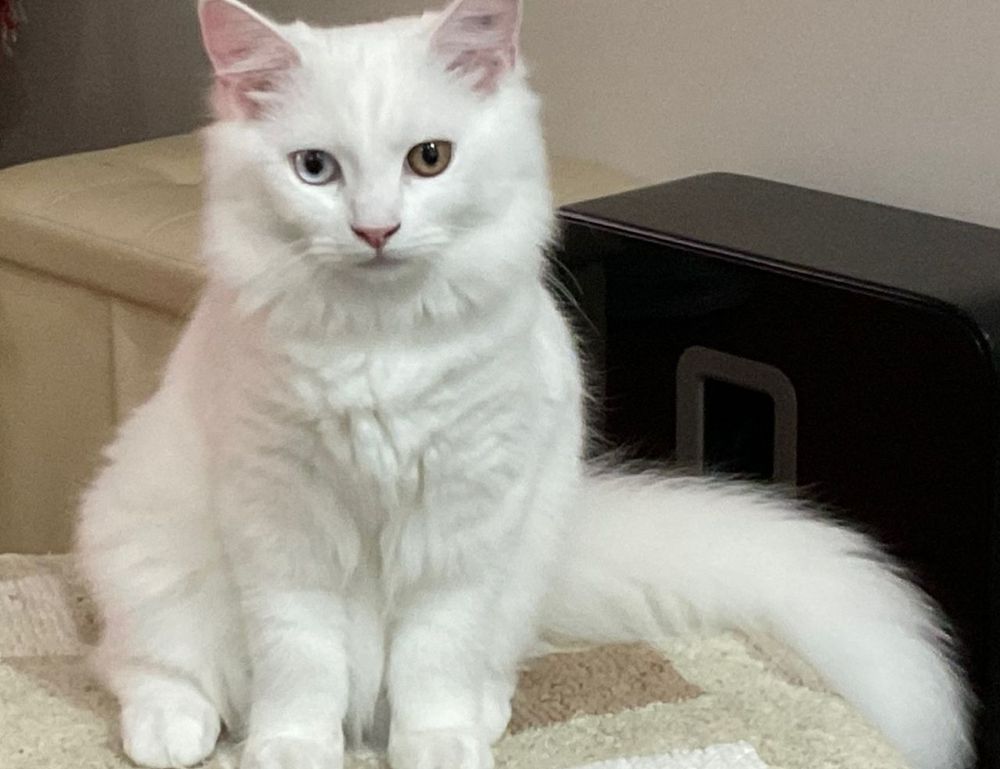 tgarchirvetech gaming trends