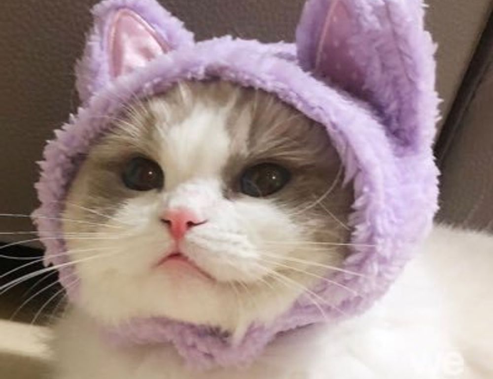 thegamearchive tgagamestick