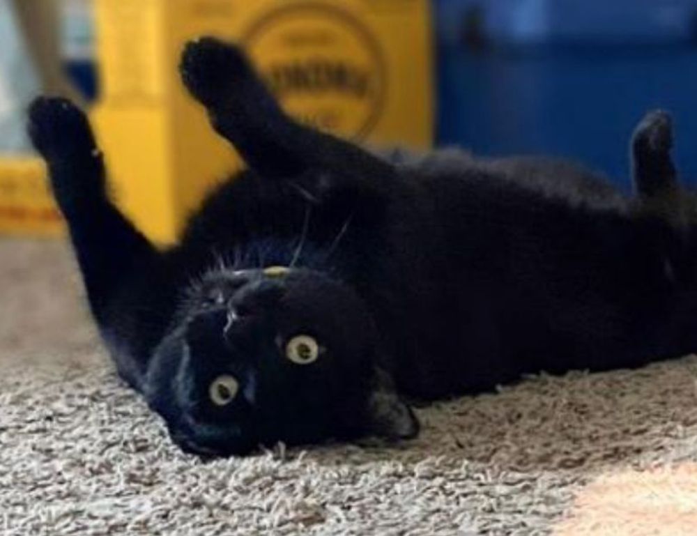 tips playing online slots bfncplayer