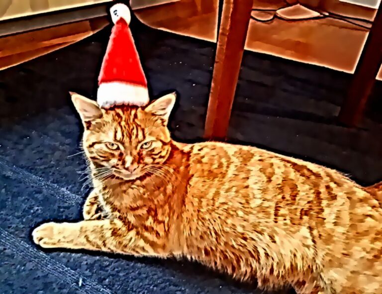 togamesticky gaming guide by thinkofgamers