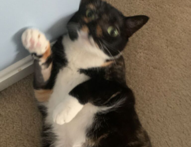 togamesticky gaming hacks from thinkofgamers