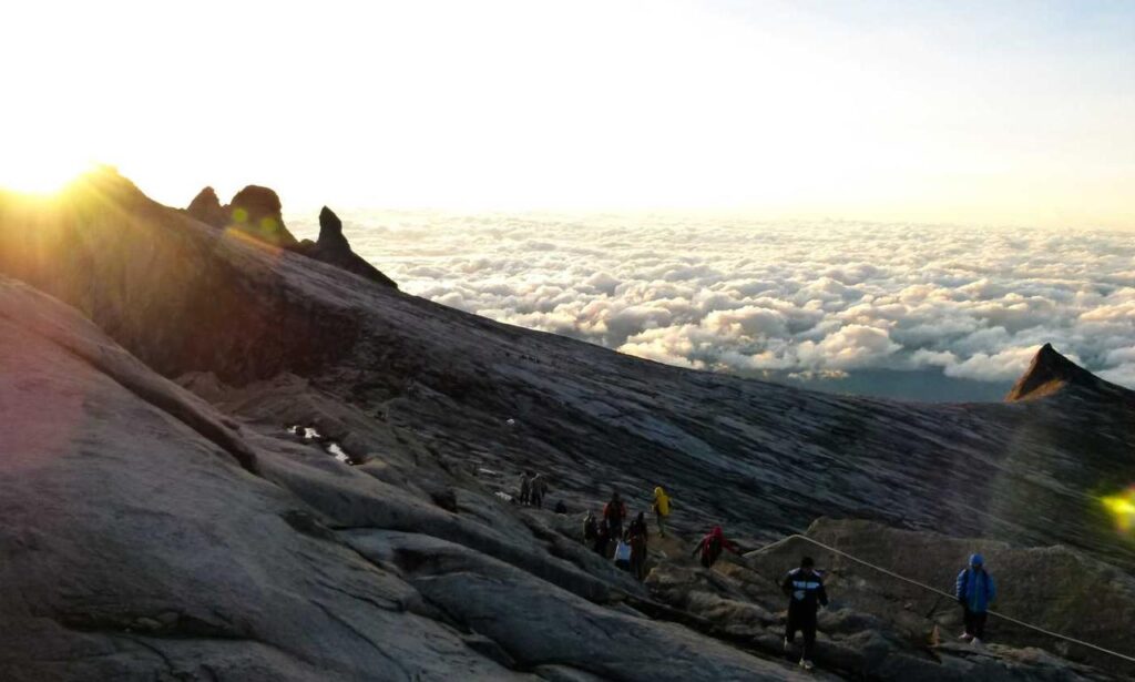 top monitors jogameplayer