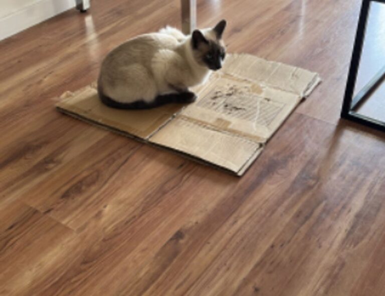 tportgametek gaming updates by theportablegamer