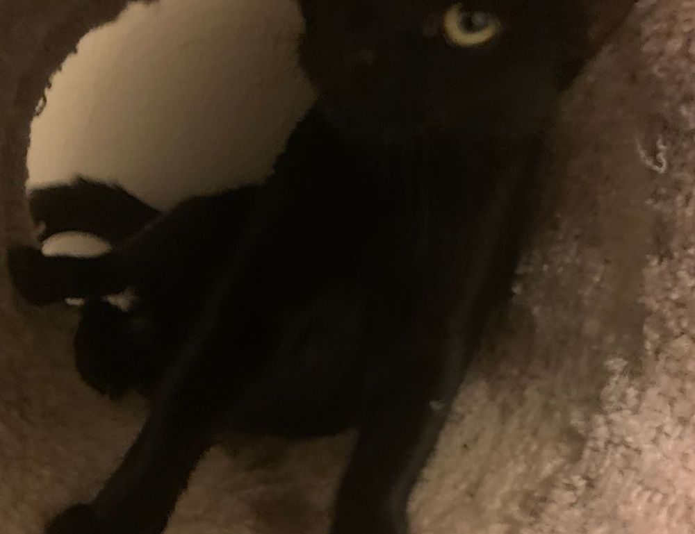 what are gaming trends gmrrmulator