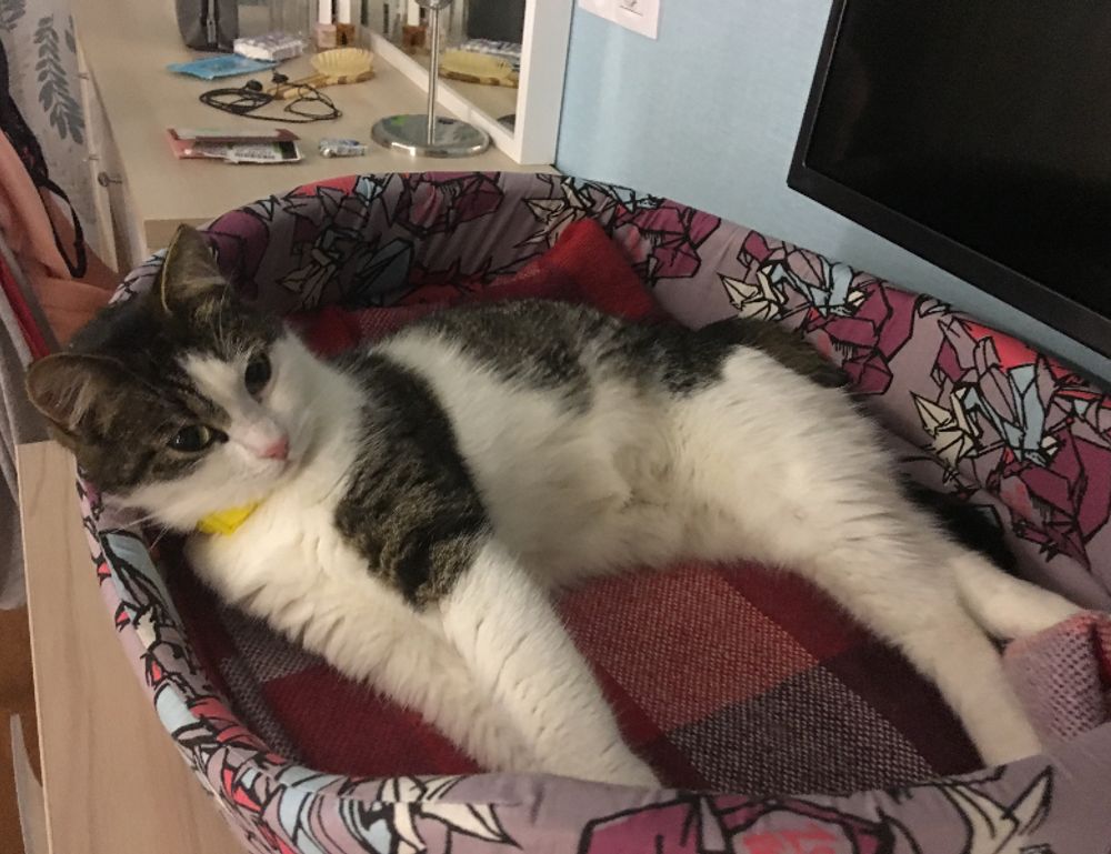 what are the best gaming upgrades scookiegear