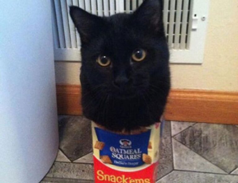 what gaming mouse to buy gmrrmulator