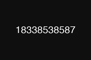 18338538587