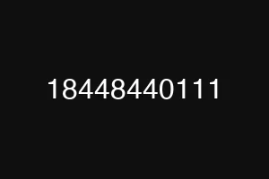 18448440111