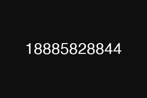 18885828844