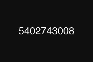 5402743008