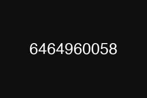 6464960058