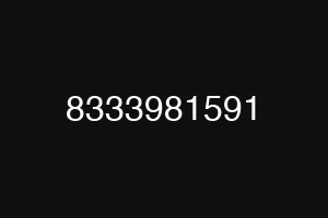 8333981591