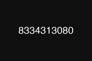 8334313080