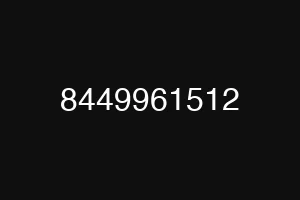8449961512