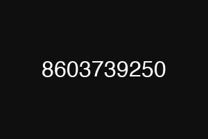 8603739250