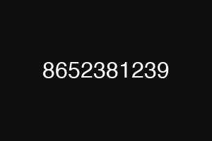 8652381239
