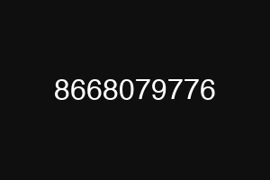 8668079776