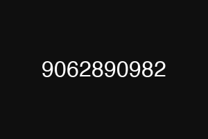 9062890982
