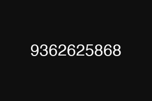 9362625868