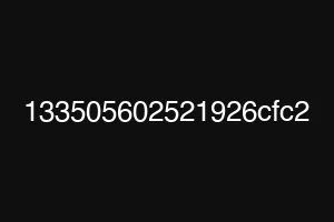 133505602521926cfc2