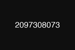 2097308073