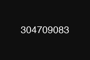 304709083