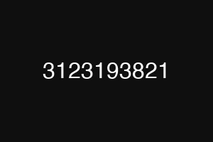 3123193821