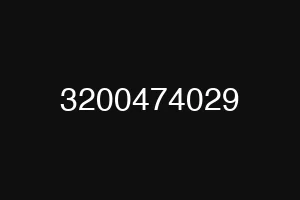 3200474029