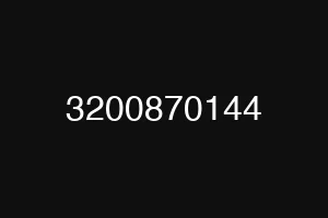 3200870144