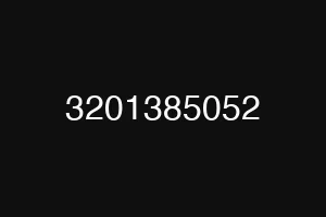 3201385052