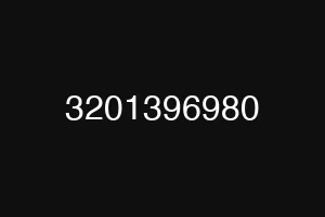 3201396980