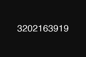 3202163919