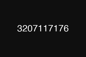 3207117176