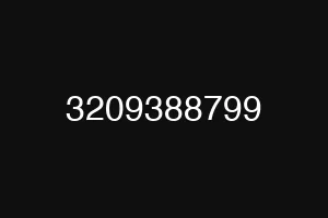 3209388799