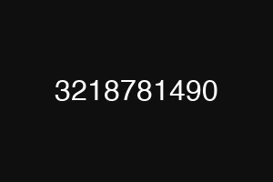 3218781490