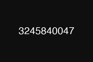 3245840047