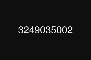 3249035002