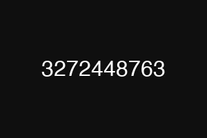 3272448763