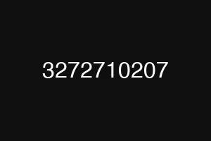 3272710207