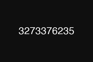3273376235